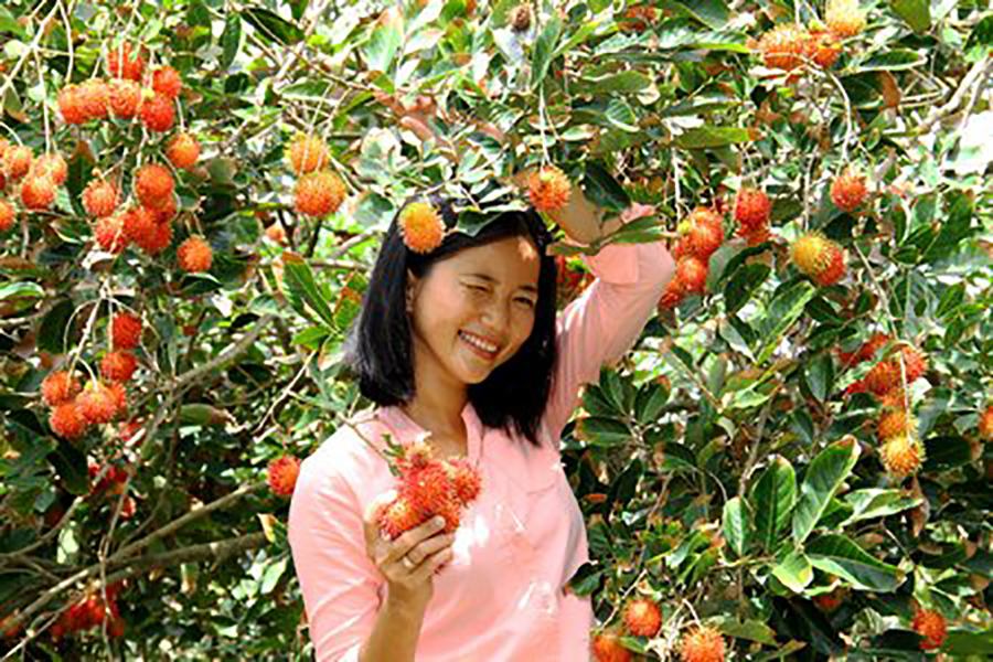 Jardin fruit delta du mekong