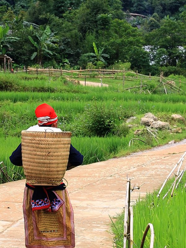 Rencontres des ethnies du Vietnam 20 jours